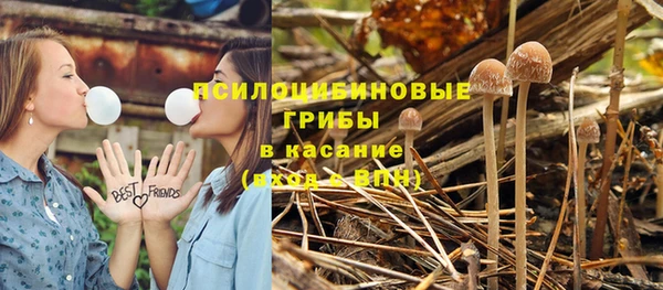 эйфоретик Магас