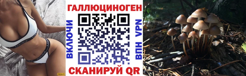 Псилоцибиновые грибы GOLDEN TEACHER  mega сайт  Приморско-Ахтарск 