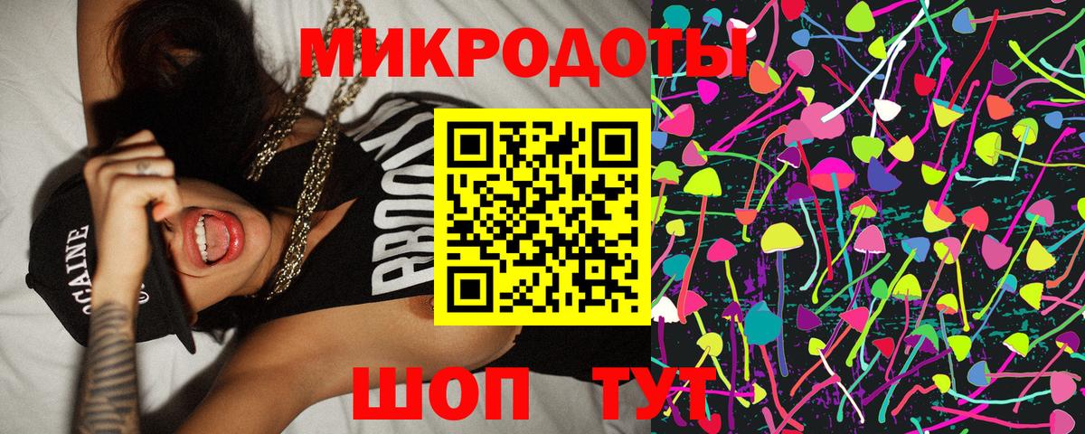 Псилоцибиновые грибы Cubensis Приморско-Ахтарск