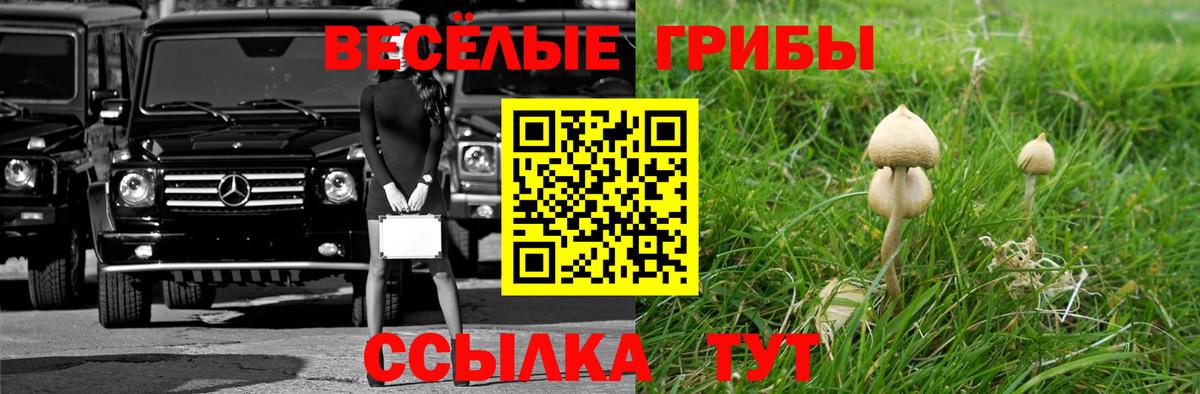 Псилоцибиновые грибы ЛСД  Приморско-Ахтарск  Галлюциногенные грибы Psilocybine cubensis 