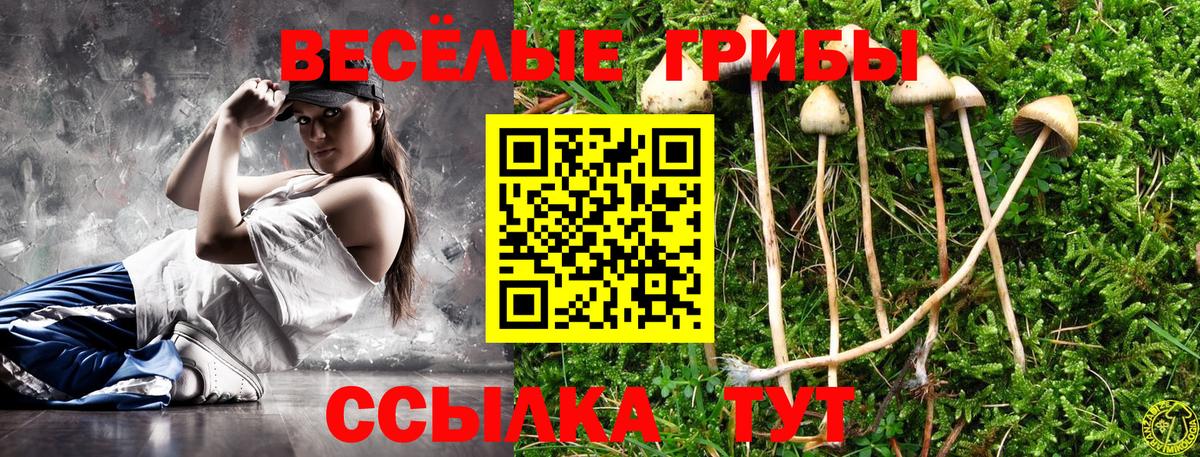 Галлюциногенные грибы прущие грибы  Псилоцибиновые грибы Cubensis  Приморско-Ахтарск  Вход с VPN 